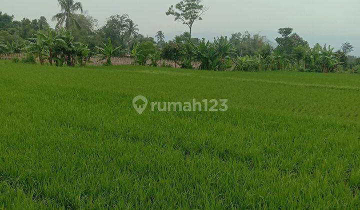 sawah produktif Buat yayasan/Investasi & villa d sukaraja sukabumi  1