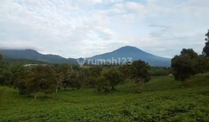 Tanah Di Cianjur Warung Kondang Buat Argowisata& Pertanian  1