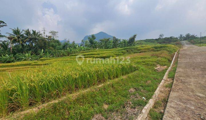 Lokasi Buat Villa masa tua View gunung di sukamakmur bogor timur  1