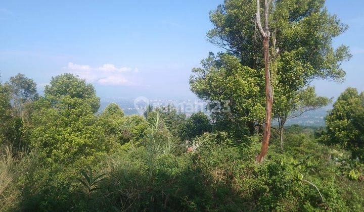 Hambalang jual Tanah View sentul city gunung salak  2