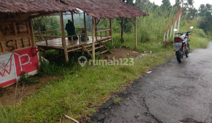 Lokasi buat ternak & yayasan juga Berkebun buah di nanggung bogor barat 1