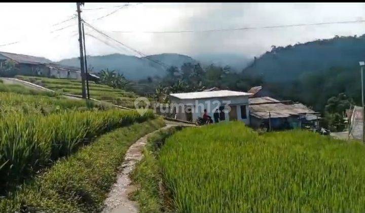 Tanah Buat resto& villa Sejuk View Gunung di pamijahan bogor barat 1