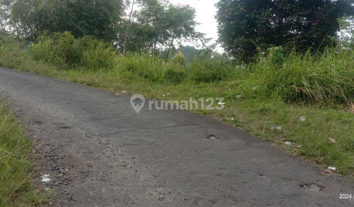 lokasi buat yayasan&Berkebun buah juga ternak d nanggung bogor barat  1