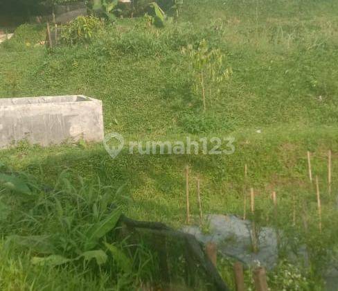 Kolam Ikan Nempel Kali Bersih Di Bogor Barat Leuwiliang 2