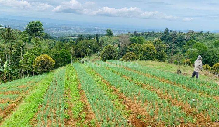 Lokasi Buat Villa pendopo & resort MDPL 900 view lepas kota bogor gunung salak 1