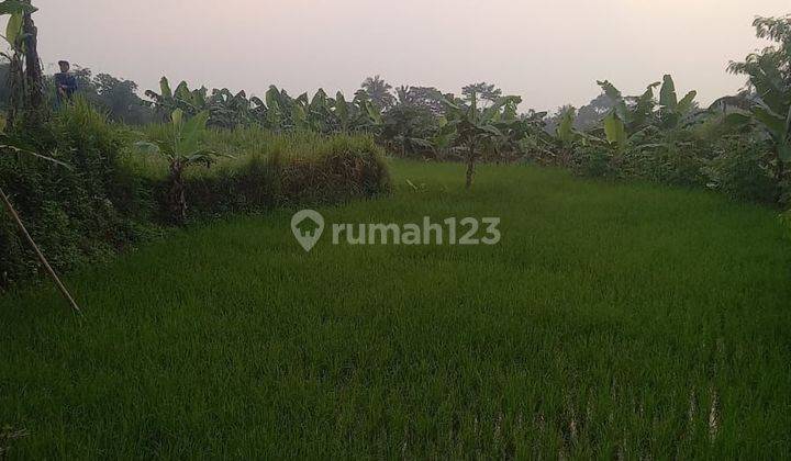 Lokasi Buat Kolam ikan & Villa Buat pengsiunan Di ciawi bogor 1