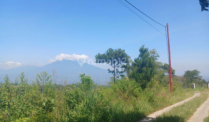 Tanah D jual cepat View GG salak & kota MDPL 850 dingin 