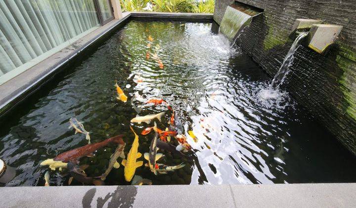 Rumah Mewah Alam Sutera Cluster Magnolia Furnished Ada Kolam Renang 26