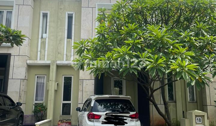 Rumah Rapih Alam Sutera Cluster Leora Lokasi Strategis