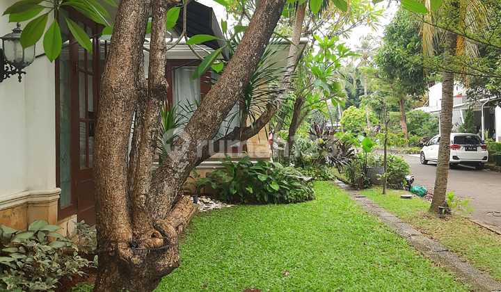 Rumah Mewah Depan Taman, Cluster Eksklusif Di Bintaro Jaya Sektor 8  2