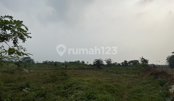 Kavling Murah Lokasi Luas Siap Bangun Kavling Murah Lokasi Luas Siap Bangun