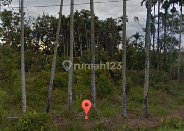 Kavling Luas Siap Bangun Lokasi Kota Sangat Strategis @Kuranji, Padang 1