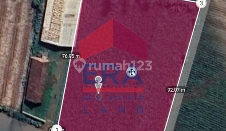 Tanah 4667 m2 Singosari, Malang