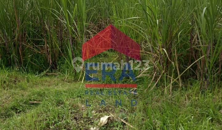 Tanah 21205 m2 Wagir, Malang Tanah 21205 m2 Wagir, Malang