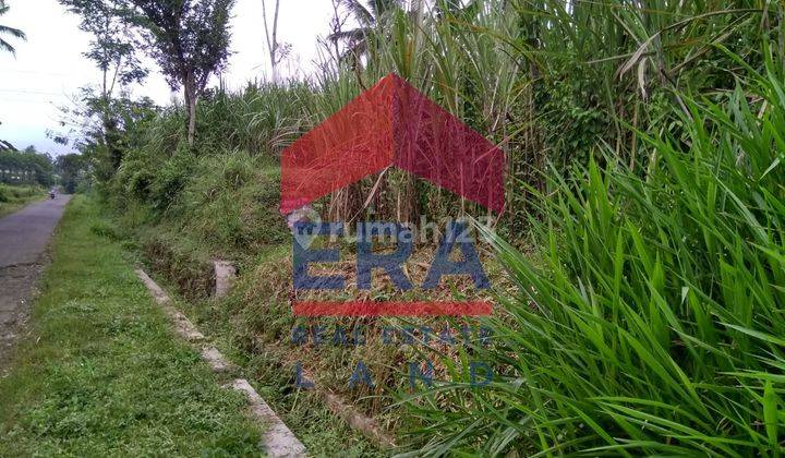 Tanah 352 m2 SHM Jalan Permanu, Pakisaji, Malang 1