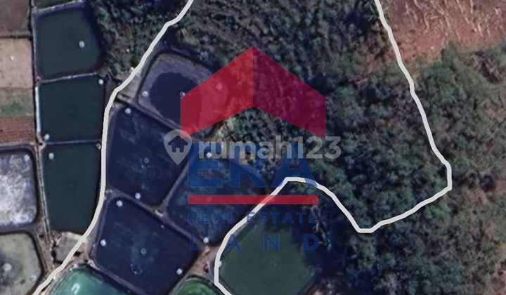 Land 13,000 M2, SHM, in Pacitan