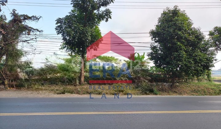 Land 3000 m2 with Certificate of Ownership (SHM) in Blimbing, Malang.