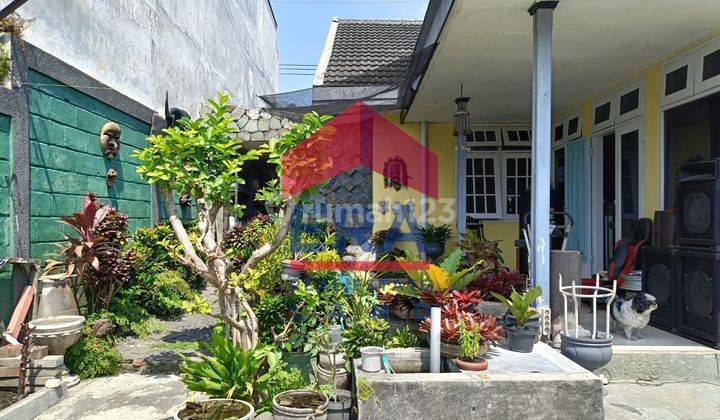 Rumah Bagus SHM di Jalan Ikan Arwana , Malang 1