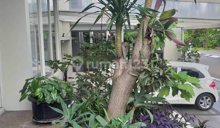 Nice House Ready to Live In Location Kebayoran Bintaro - 0321