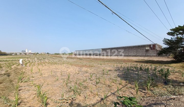 FOR SALE INDUSTRIAL AREA LAND ON PERTAMINA ROAD WRINGINANOM GRESIK