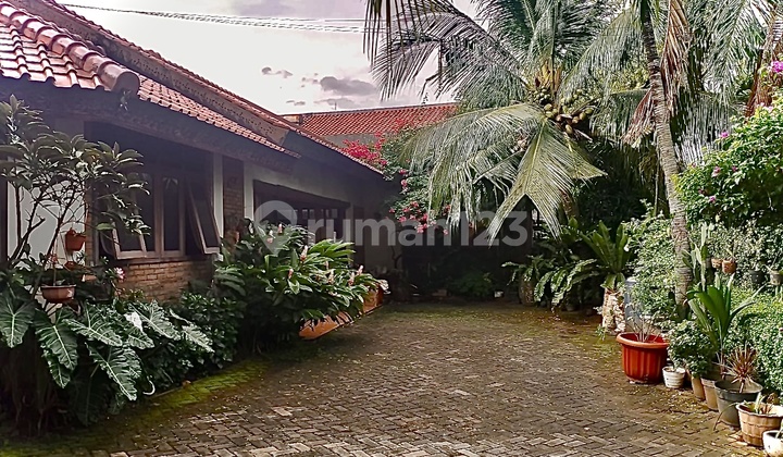 Dijual Rumah Asri Di Kalibata Timur