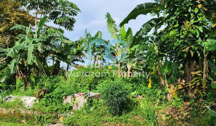 Tanah Bagus Cocok Untuk Cluster Siap Bangun di Tanah Sareal Bogor 4
