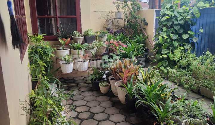 Rumah Lama Cocok Usaha Strategis Area Kayuringin Bekasi Barat Rumah Lama Cocok Usaha Strategis Area Kayuringin Bekasi Barat