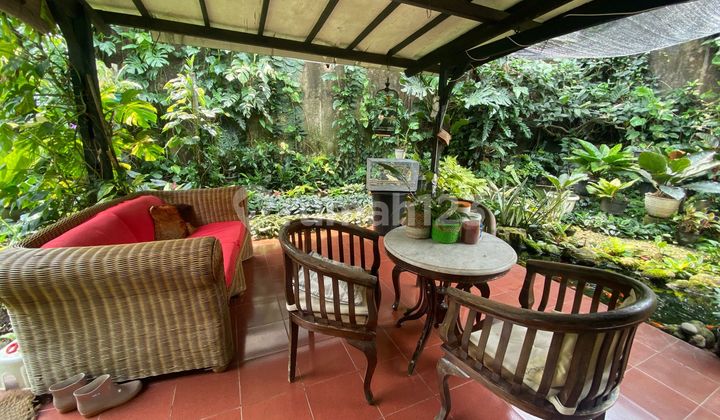 Jual Cepat, Rumah Asri Siap Huni Strategis Bisa Untuk Usaha Di Kayu Putih  2