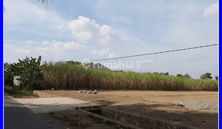 Kapling Rumpin Dekat Jl. Raya Ciseeng Harga 90 An Jt  1