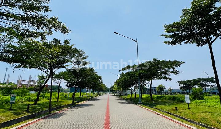 DISEWAKAN MURAHH KAVLING KOMERSIL MINIKOM GANDENG PIK 2 DISEWAKAN MURAHH KAVLING KOMERSIL MINIKOM GANDENG PIK 2