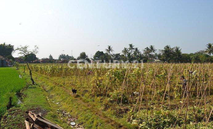 Tanah Lokasi Jln Nasional Arah Cianjur, Dekat Pabrik/industri 2