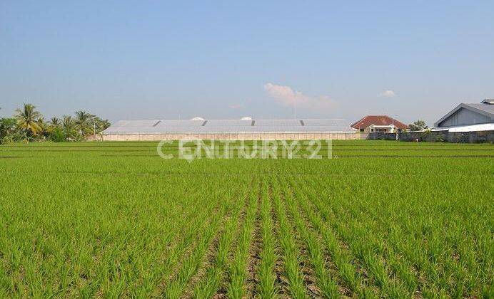 Tanah Lokasi Jln Nasional Arah Cianjur, Dekat Pabrik/industri 1