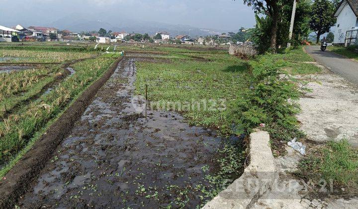 Tanah Sawah Lok Soreang, Dekat RS, Dekat Tol Soroja 1