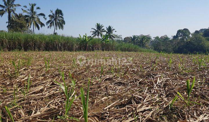 Dijual tanah di kenongo djabung ,akses 2 mobil . 2