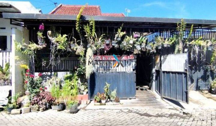 DIJUAL RUMAH 1 LANTAI SIAP PAKAI DI IKAN GURAMI MALANG 1