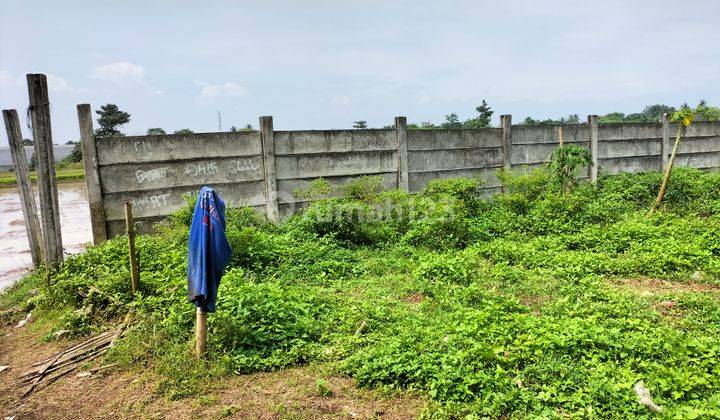 Dijual Murah Tanah Di Cisauk, Samping Tol Serpong Balaraja, Nego Sampai Deal 2