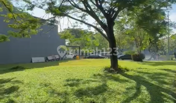 For Sale Cheap Rare Plot In Bsd Cluster Frangipani For Sale Cheap Rare Plot In Bsd Cluster Frangipani