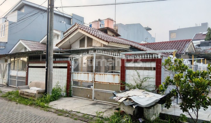 Jual Murah Rumah Taman Surya Harga Nego Lingkungan Asri Jual Murah Rumah Taman Surya Harga Nego Lingkungan Asri