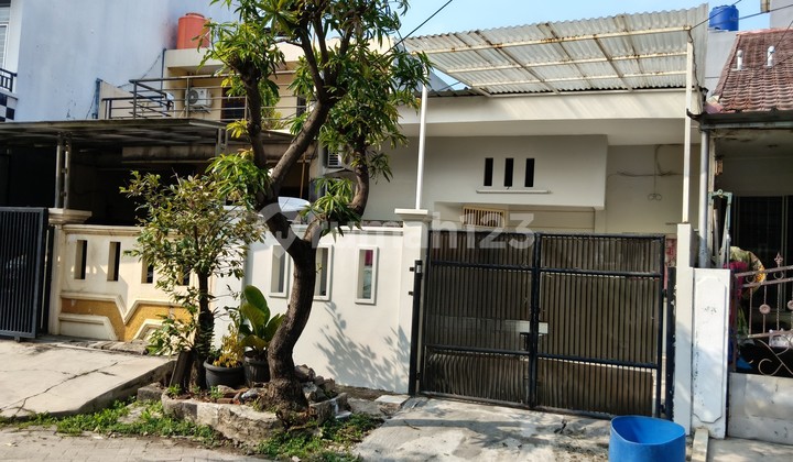 Sewa Rumah Taman Surya Harga Nego Sewa Rumah Taman Surya Harga Nego
