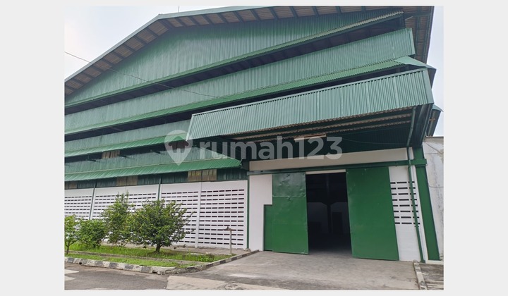 House for Rent in Halim Perdana Kusuma Ready to Use Negotiable Price House for Rent in Halim Perdana Kusuma Ready to Use Negotiable Price