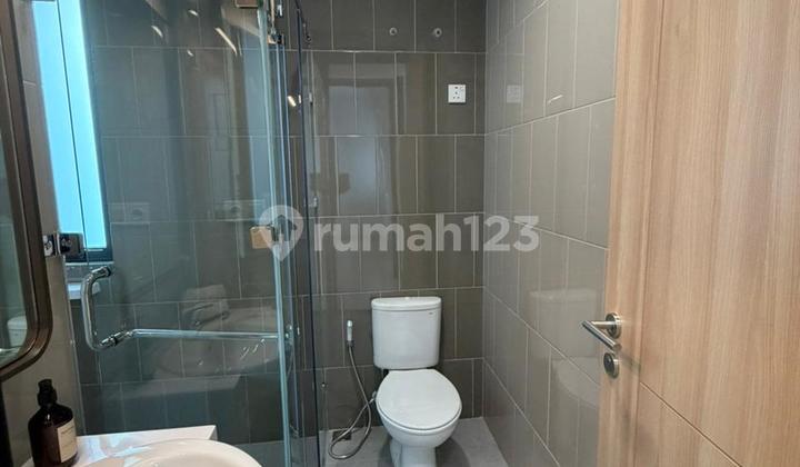 New Launch Primary Bayleaf (Basanta) 6X12 Suavrna Sutera 2