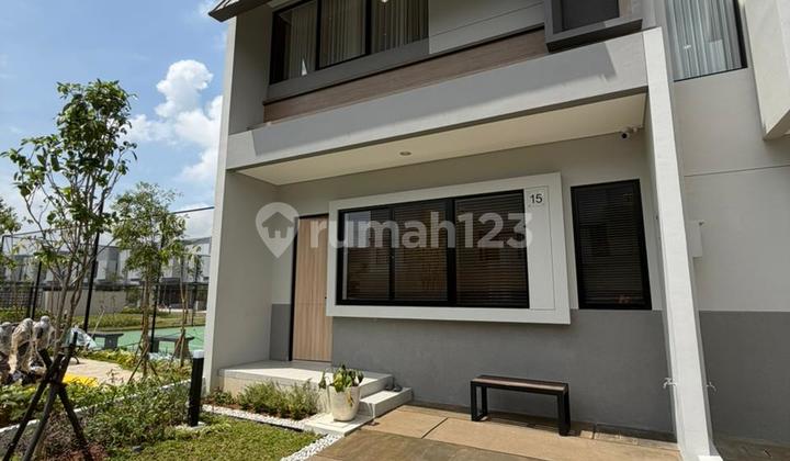 New Launch Primary Bayleaf (Basanta) 6X12 Suavrna Sutera