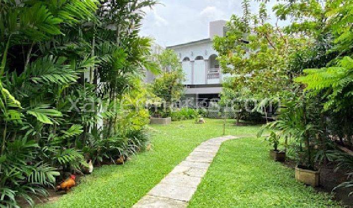 Rumah sultan Raya manyar Kertoarjo Tembus Gang 6 Belakang 1.050m2 1