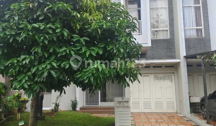 Termurah Rumah 2 Lantai Cluster Grisea The Spring Gading Serpong Termurah Rumah 2 Lantai Cluster Grisea The Spring Gading Serpong