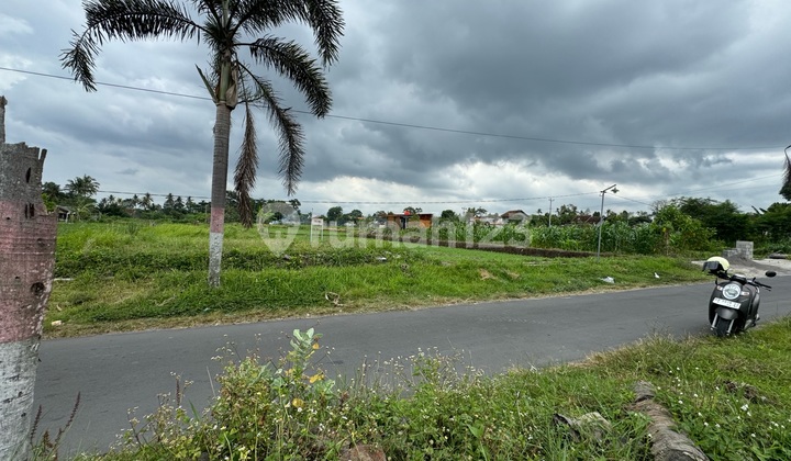 Land with Rice Field View on Krandon Street, Sleman