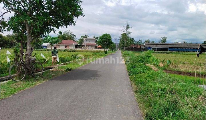 Tanah Sawah Yang Asri Dan Sejuk Di Margokaton Seyegan, Sleman 2