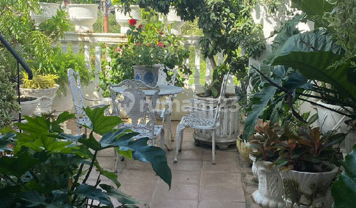 Rumah Asri dan Nyaman 2Lantai Lokasi Premium di Salemba Jakpus Rumah Asri dan Nyaman 2Lantai Lokasi Premium di Salemba Jakpus