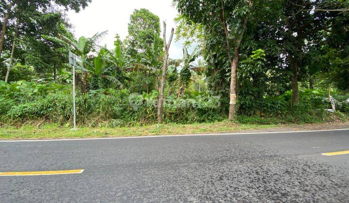 Tanah Cocok Untuk Gudang 2