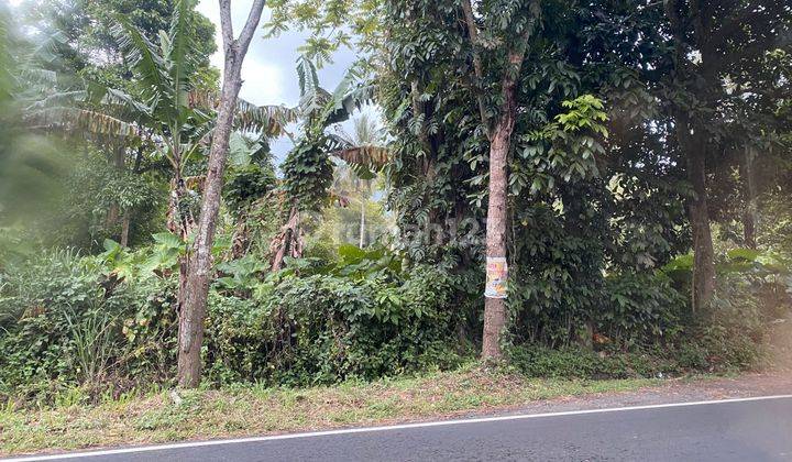 Tanah Cocok Untuk Gudang 4