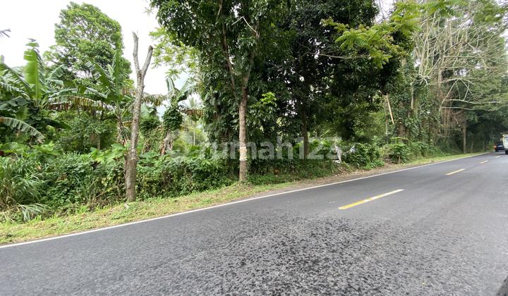 Tanah Cocok Untuk Gudang 5